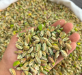 Baklavalık İç Antep Fıstığı